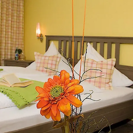 Hotel Guenstige Im Spessart